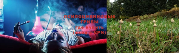 прущие грибы Куйбышев