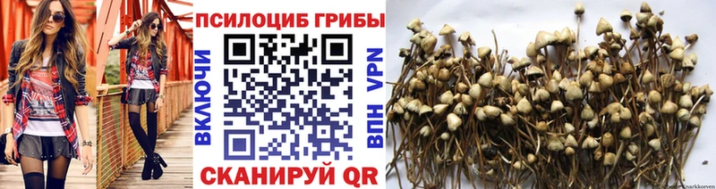 дарнет шоп  Звенигород  Псилоцибиновые грибы Magic Shrooms 